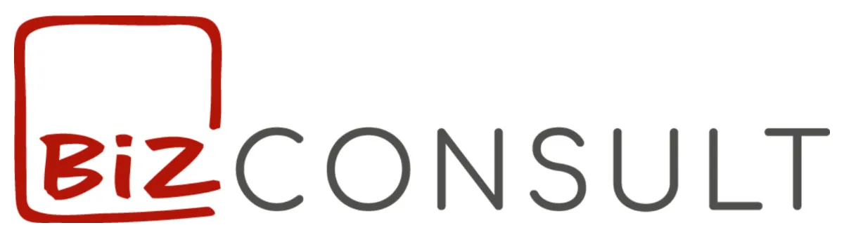 biz consult